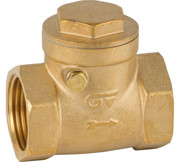 Válvula de retención clapeta metal rosca NPT