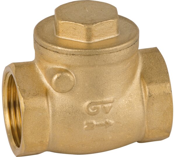 Válvula de retención clapeta goma rosca NPT