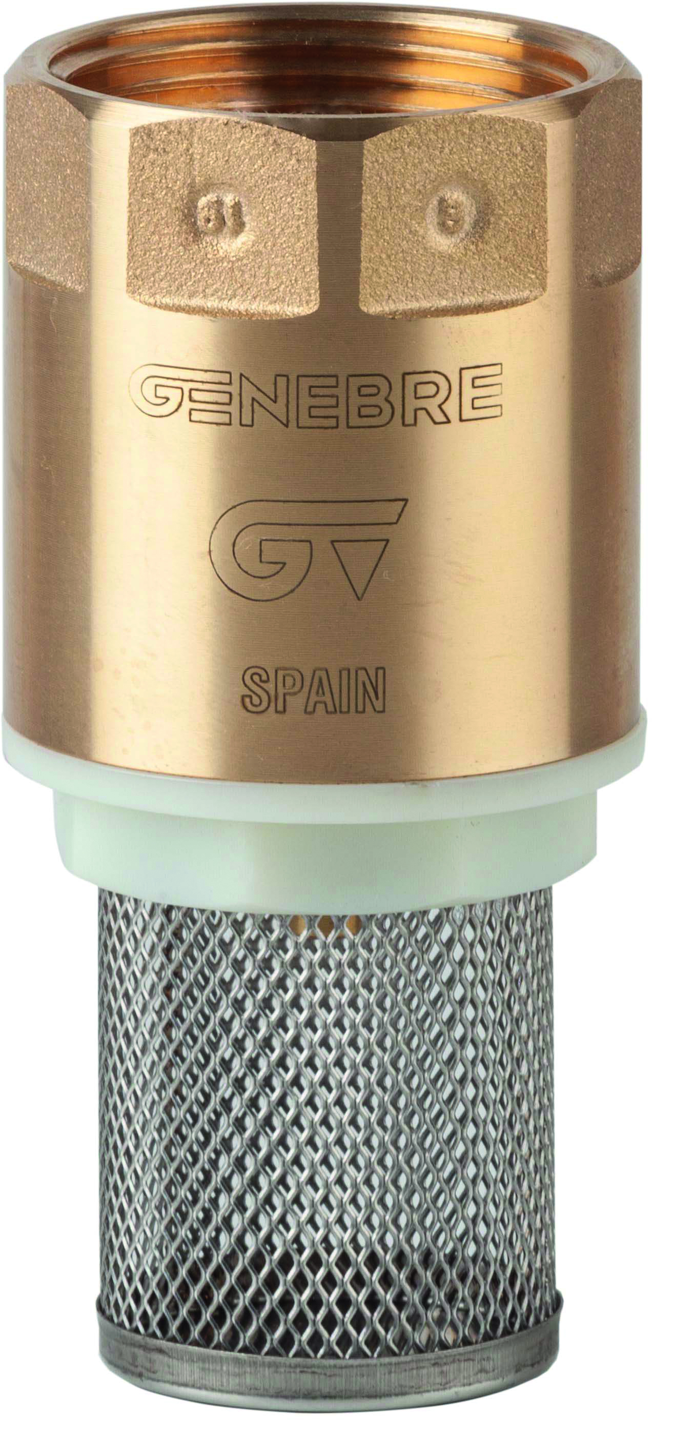 Válvula retención con filtro