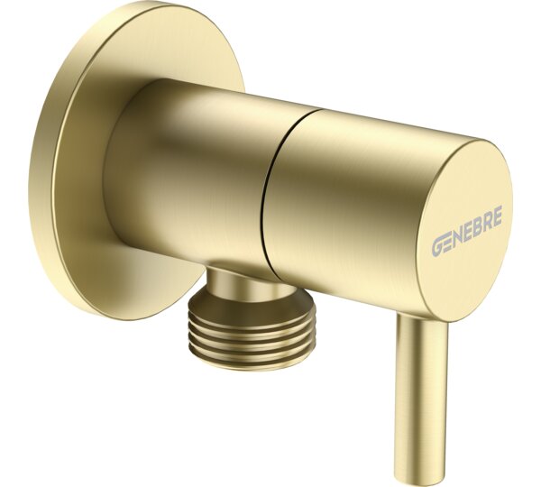 Válvula de escuadra 1/2" x 1/2" Oro Cepillado Accesorios y Recambios