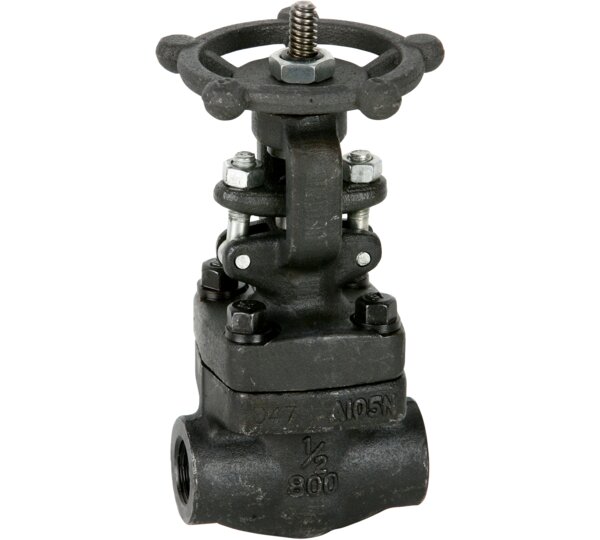 Válvula de compuerta clase 800 extremos S.W.