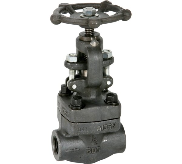 Válvula de globo clase 800 rosca NPT