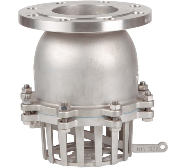Válvula de retención de pie con brida DIN PN 16