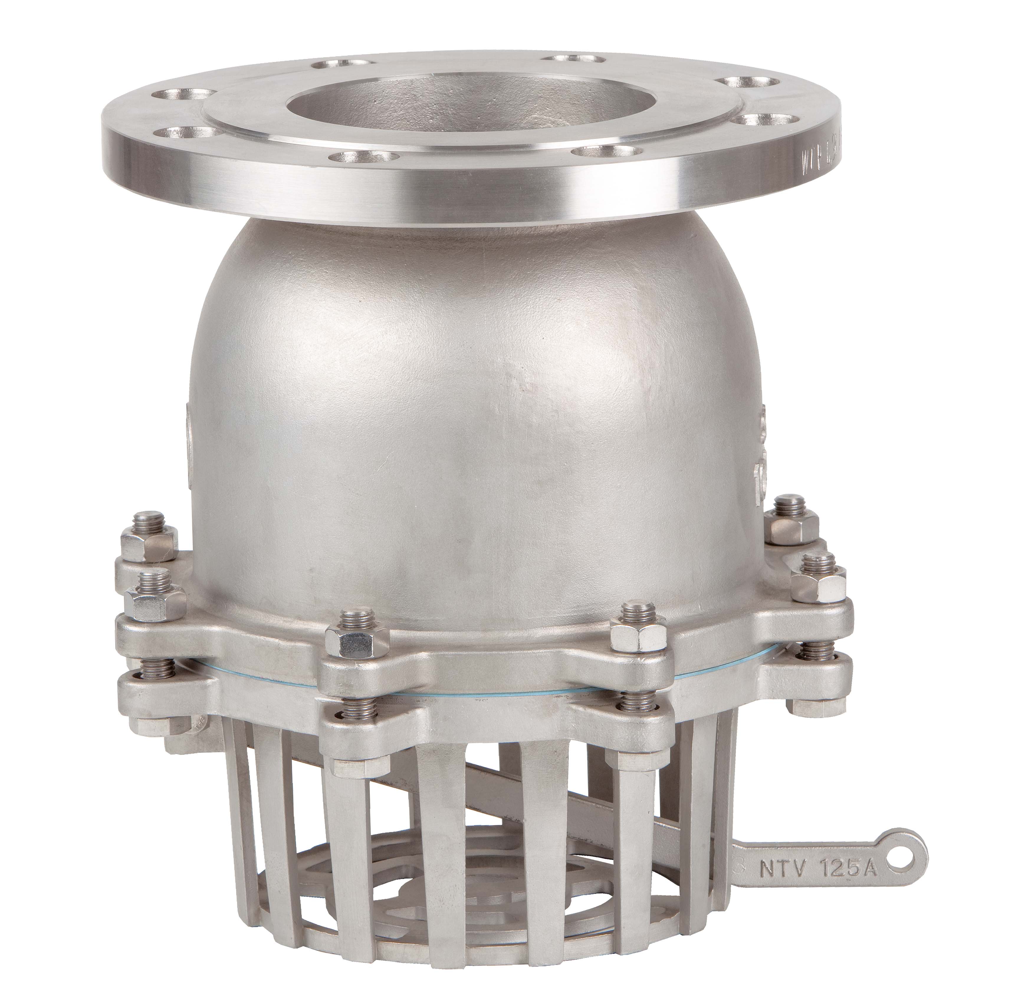 Válvula de retención de pie con brida DIN PN 16