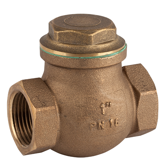 Válvula de retención clapeta PTFE